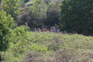IMG_2835.JPG